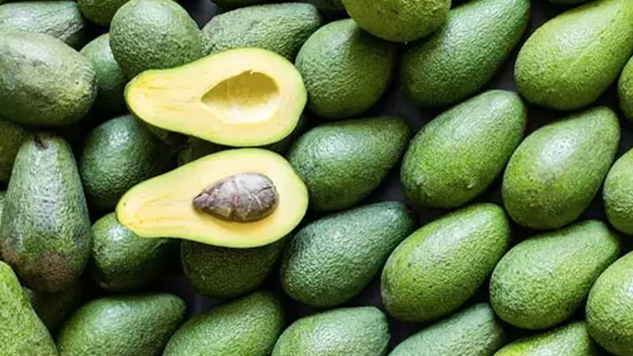 Foto - Hastalıklara karşı koruyucu güç! Her şeyi yok edecek: Kalp, cilt, göz, beyin! İyi gelmediği şey yok! Uzmanı ifade etti