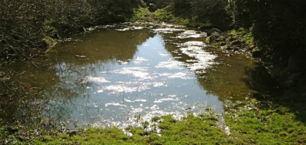 Foto - Hastalıklardan korunmanın 16 yolu