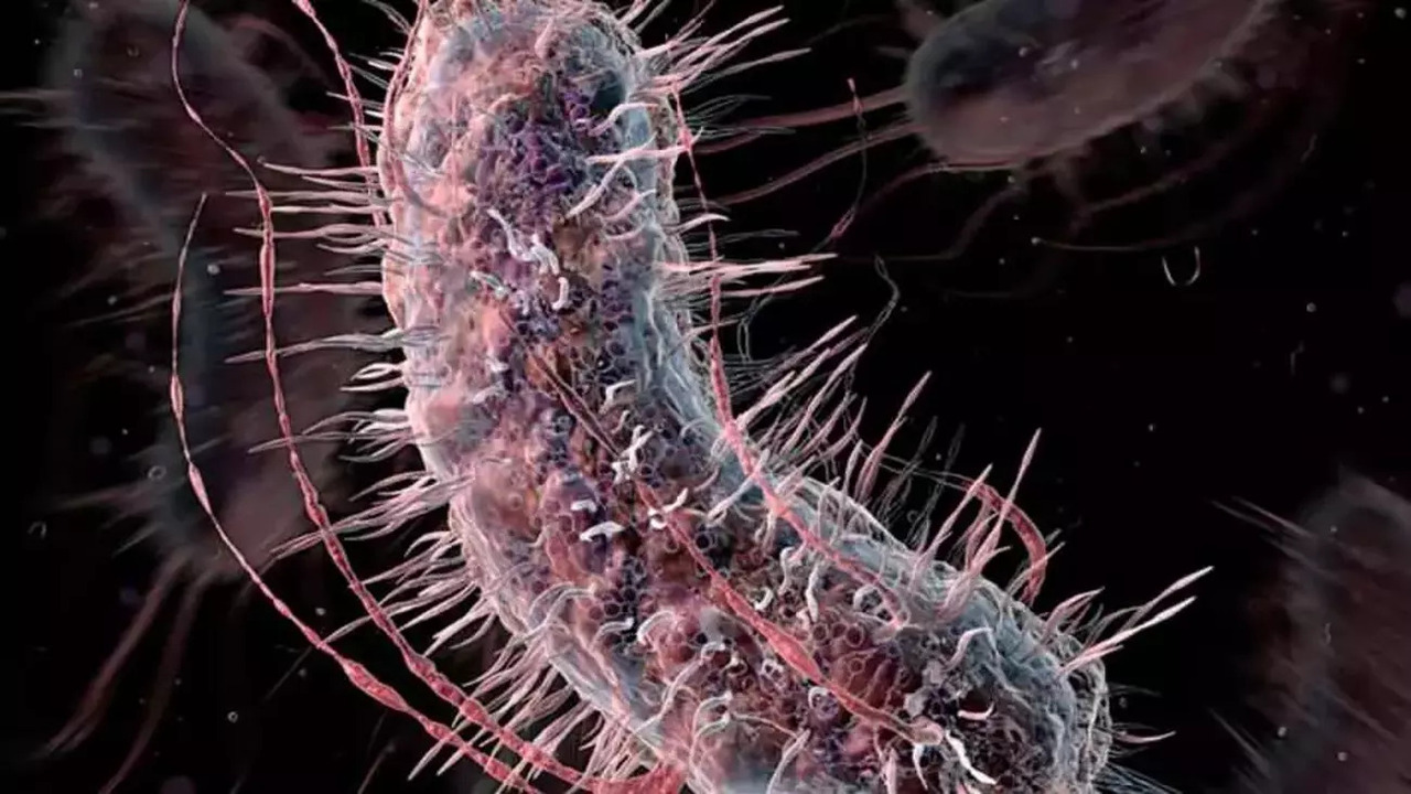 Foto - Hastalıkları Unutturacak Keşif: Doktorlar Bile Şaşkın!