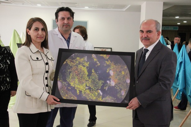 Foto - Hastalıklı dokular sanat eserine dönüştü