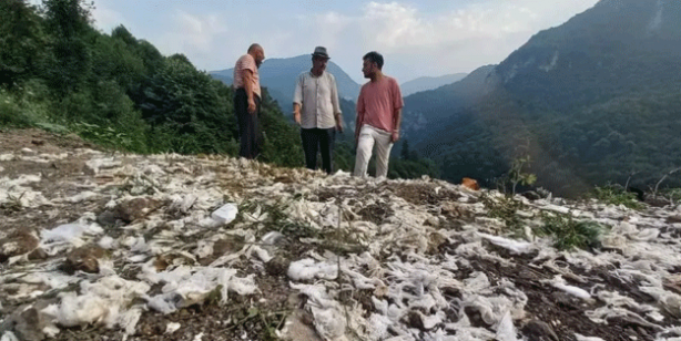 Hastaneden alıp ormana döktüler! Ekipler harekete geçti