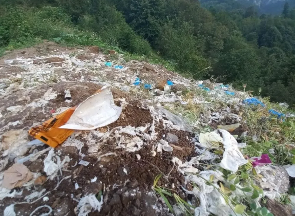 Foto - Hastaneden alıp ormana döktüler! Ekipler harekete geçti