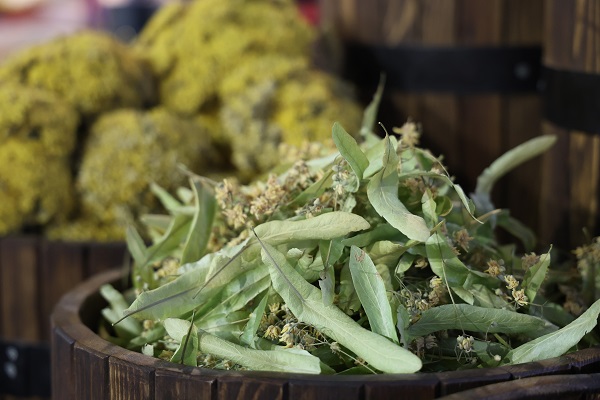 Hastaneler dolup taşmaya başladı! Bakın hasta olmak istemeyenler nereye koşuyor