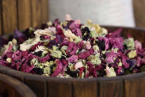 Foto - Hastaneler dolup taşmaya başladı! Bakın hasta olmak istemeyenler nereye koşuyor