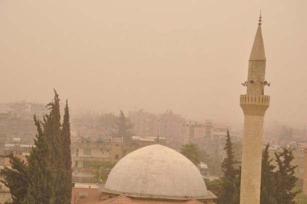 Foto - Hatay sarıya büründü
