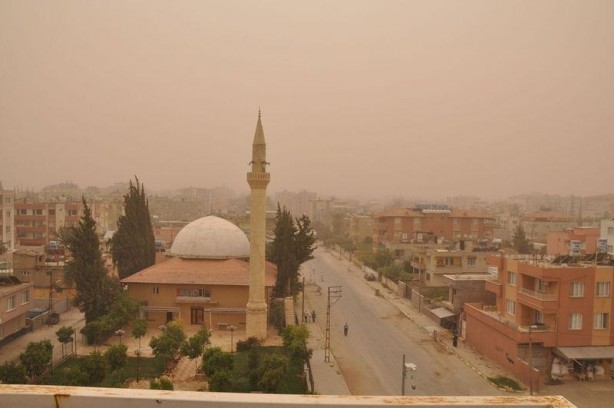 Foto - Hatay sarıya büründü