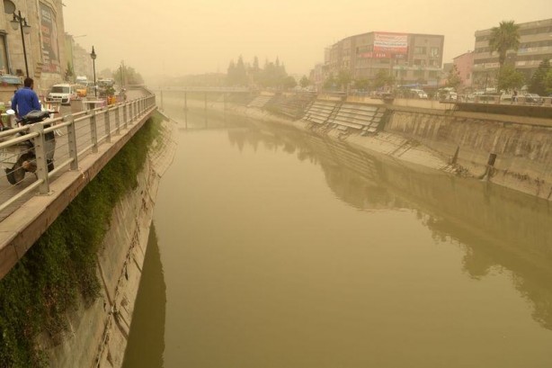 Foto - Hatay sarıya büründü