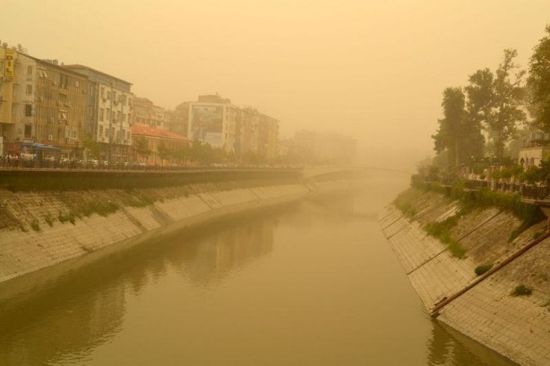 Foto - Hatay sarıya büründü