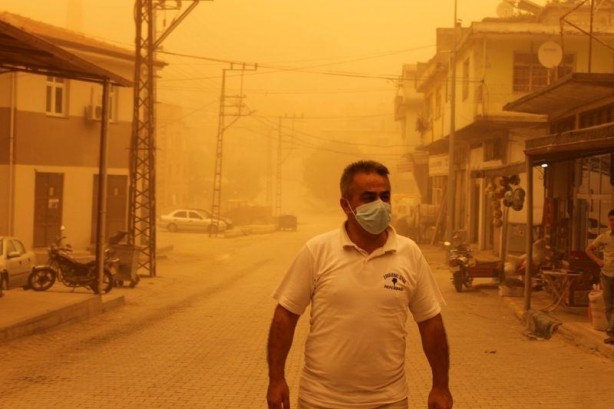 Hatay sarıya büründü