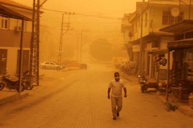 Foto - Hatay sarıya büründü
