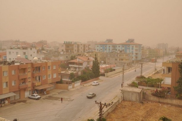 Foto - Hatay sarıya büründü