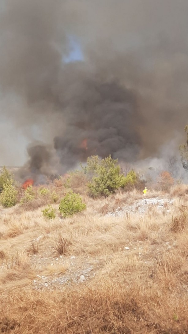 Hatay yine yanıyor! Müdahale başladı
