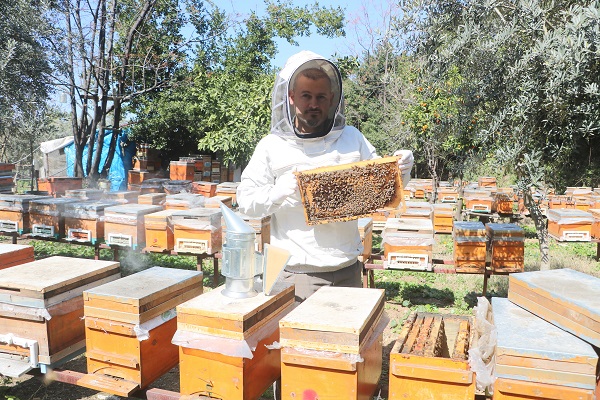 Foto - Hatay'da bal mesaisi erken başladı
