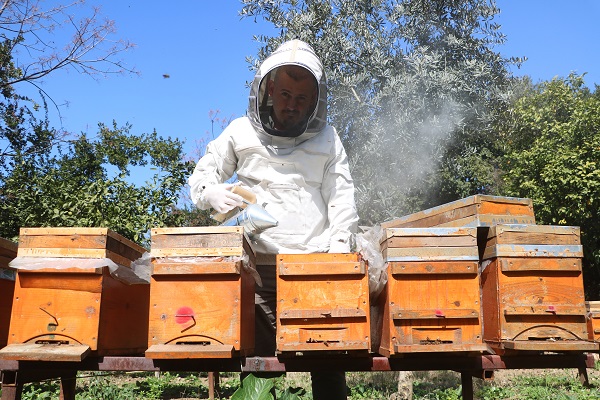 Foto - Hatay'da bal mesaisi erken başladı