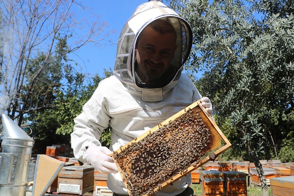 Hatay'da bal mesaisi erken başladı