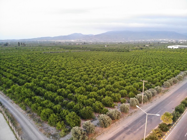 Foto - Hatay'da çiftçiye destek jandarmadan