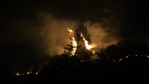 Foto - Hatay'da çıkan orman yangınına sabah saatlerinde de müdahale devam ediyor