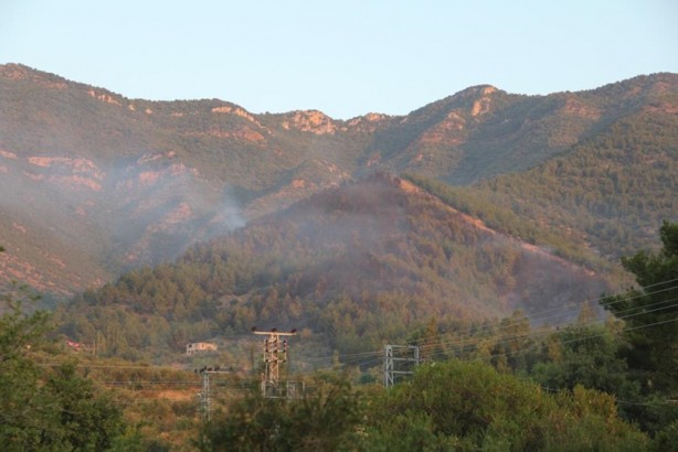 Foto - Hatay'da çıkan orman yangınına sabah saatlerinde de müdahale devam ediyor