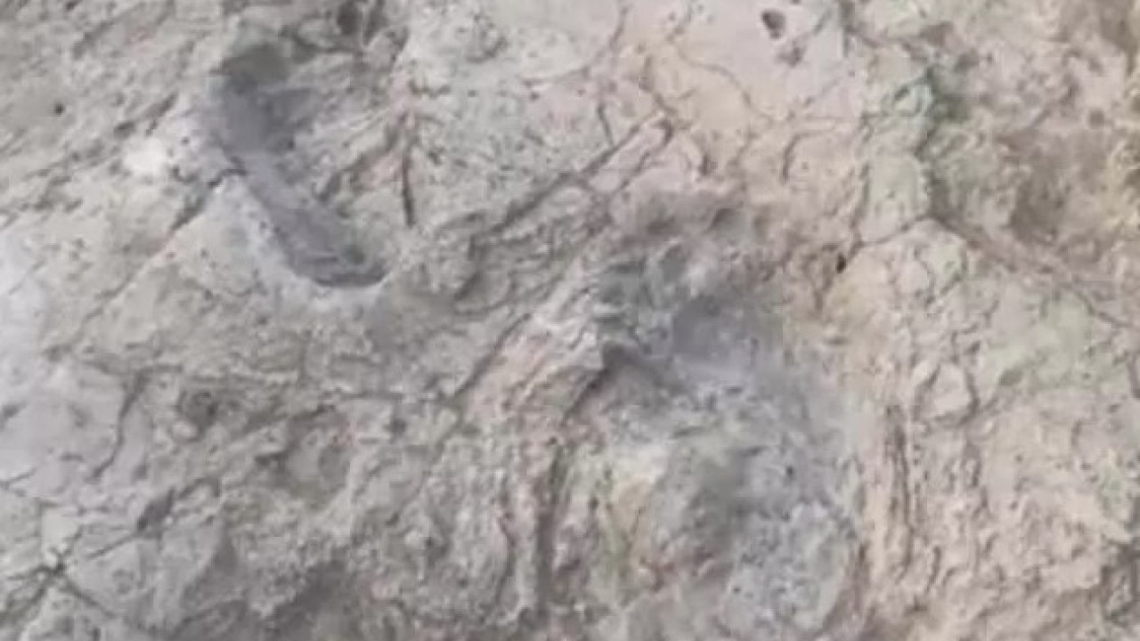 Foto - Hatay'da heyecanlandıran keşif! Bakan bizzat paylaştı!