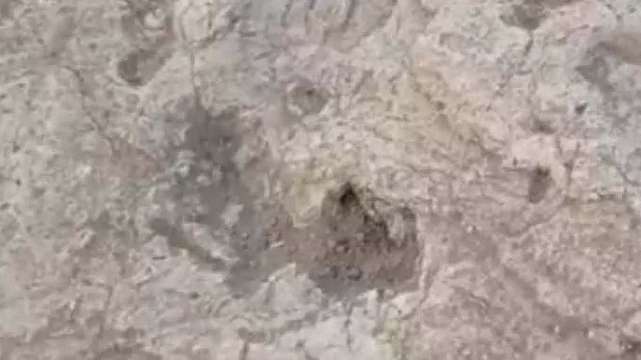 Foto - Hatay'da heyecanlandıran keşif! Bakan bizzat paylaştı!