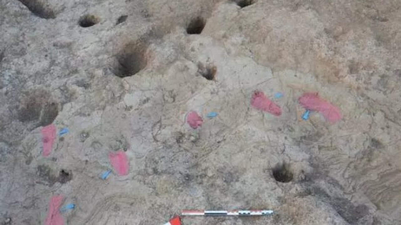 Foto - Hatay'da heyecanlandıran keşif! Bakan bizzat paylaştı!