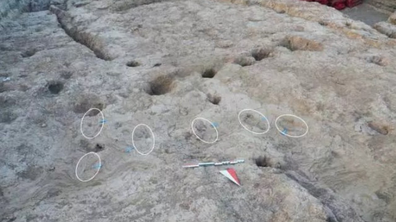 Hatay'da heyecanlandıran keşif! Bakan bizzat paylaştı!