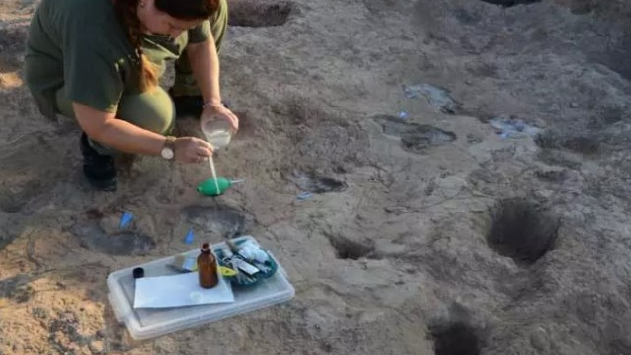 Foto - Hatay'da heyecanlandıran keşif! Bakan bizzat paylaştı!