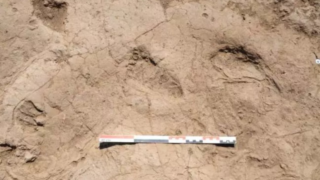 Foto - Hatay'da heyecanlandıran keşif! Bakan bizzat paylaştı!