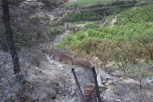 Foto - Hatay'da ormanlık alanda yangın