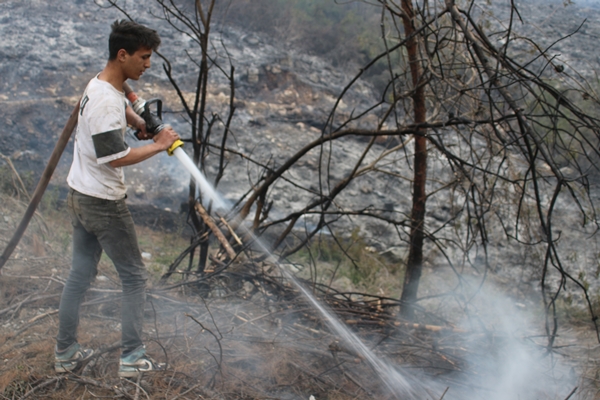 Foto - Hatay'da ormanlık alanda yangın