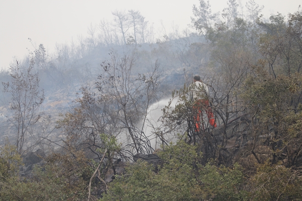 Foto - Hatay'da ormanlık alanda yangın