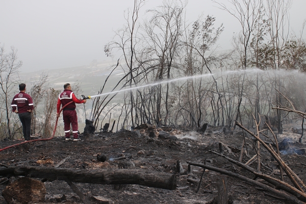 Hatay'da ormanlık alanda yangın