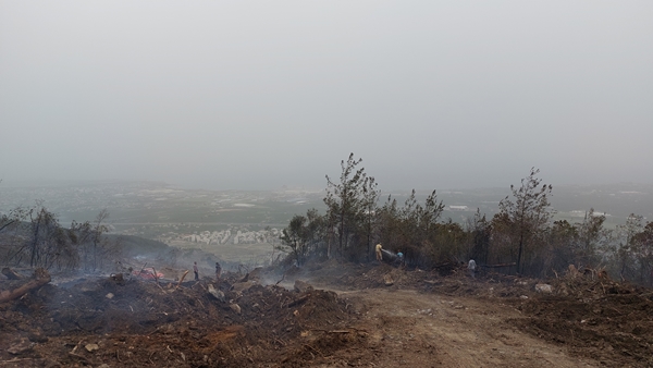 Foto - Hatay'da ormanlık alanda yangın