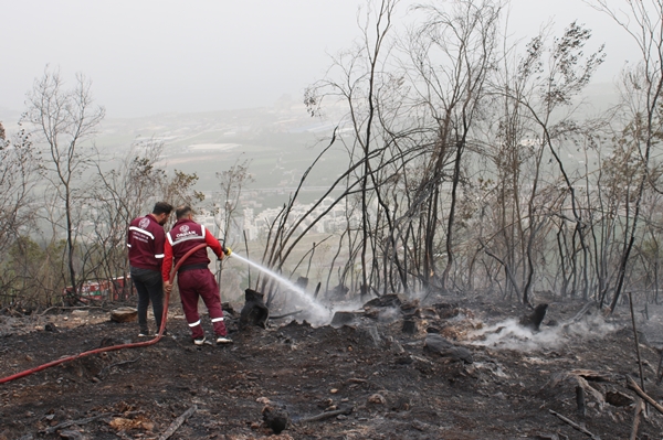 Foto - Hatay'da ormanlık alanda yangın