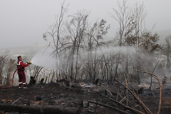 Foto - Hatay'da ormanlık alanda yangın