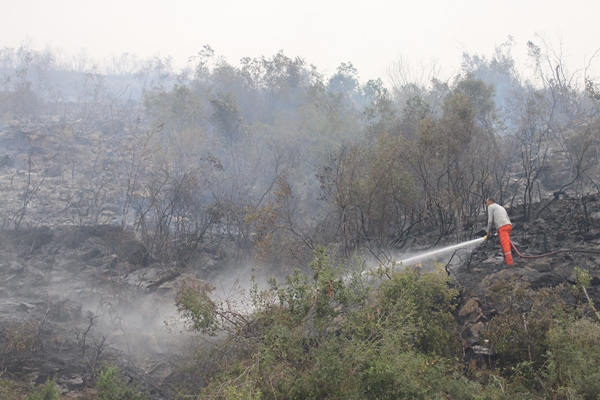 Foto - Hatay'da ormanlık alanda yangın
