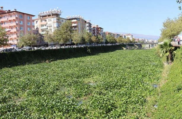 Foto - Hatay'da yeniden ortaya çıktı! Ekipler harekete geçti