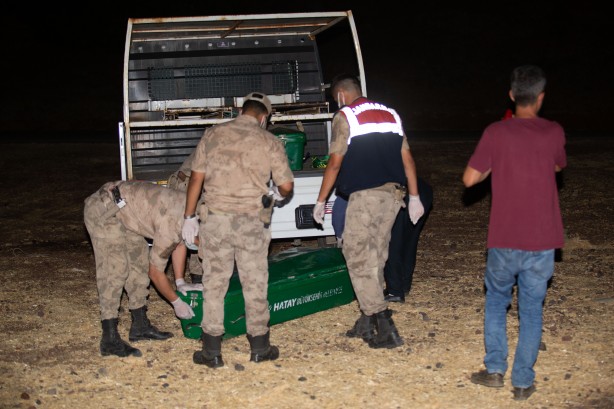 Foto - Hatay'dan acı haber!