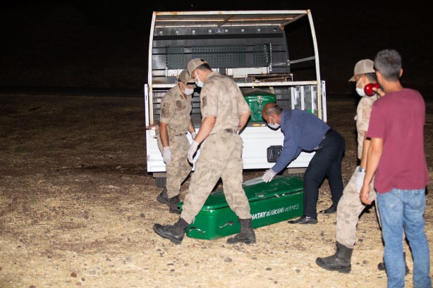 Foto - Hatay'dan acı haber!