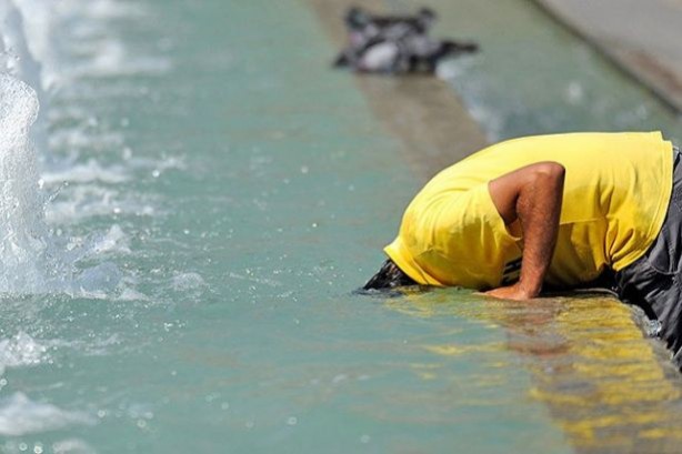 Foto - Hava çok sıcak, nem çok fazla olunca...