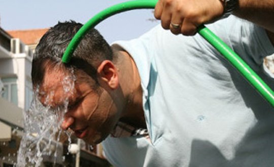 Foto - Hava çok sıcak, nem çok fazla olunca...