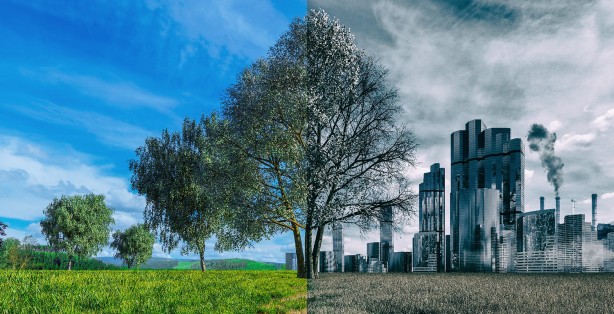 Hava kirliliği insan ömründen tam altı yıl çalıyor! İşte kirlilikte ülke sıralaması