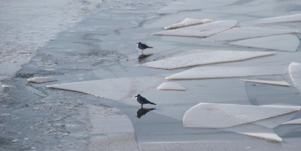 Foto - Hava sıcaklığı eksi 16 dereceleri gördü, Beyşehir Gölü kıyıları dondu