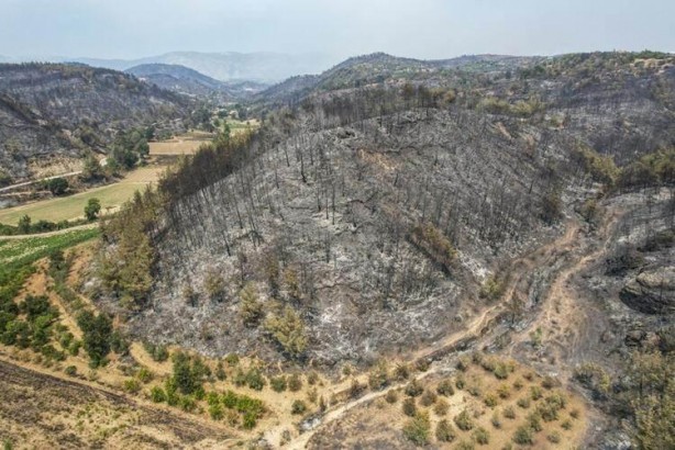 Foto - Havadaki devler Türkiye'de
