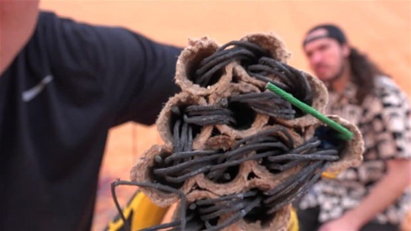 Foto - Havai fişeğin içinde ne var?