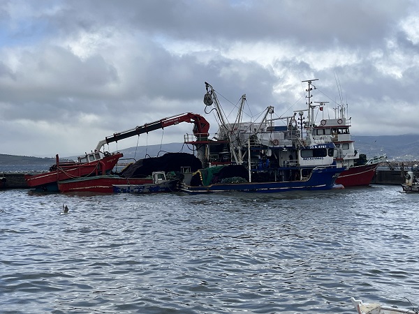 Foto - Havalar bozdu hamsinin fiyatı uçtu