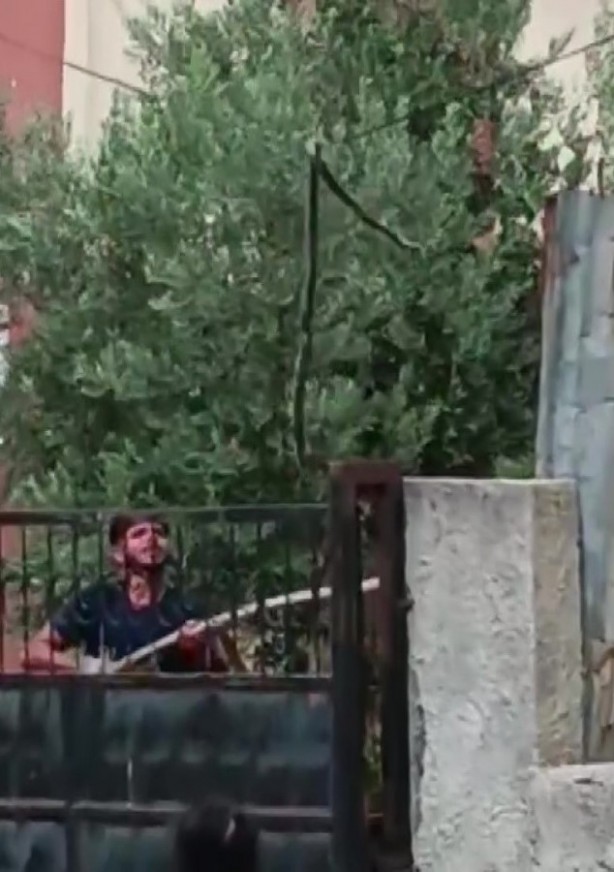 Foto - Havalar ısındı, Adana’da yılanlar evlere girer oldu