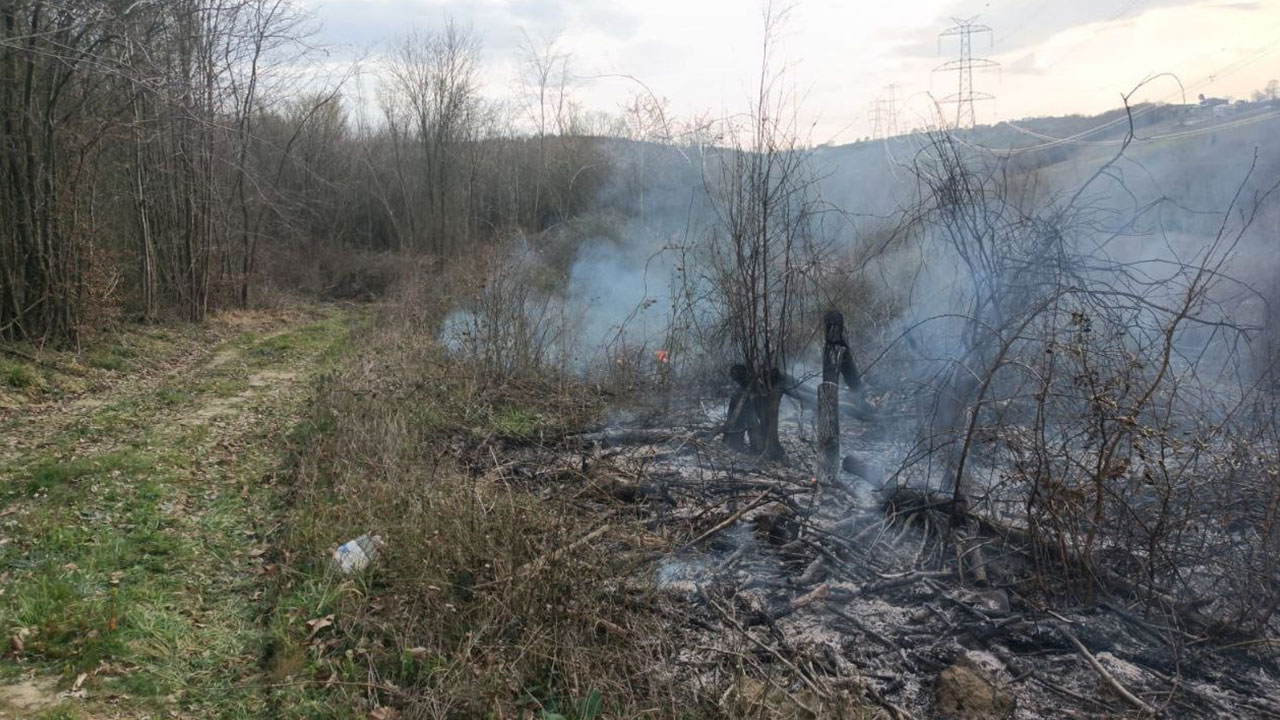 Foto - Havalar ısındı, yangın haberleri gelmeye başladı