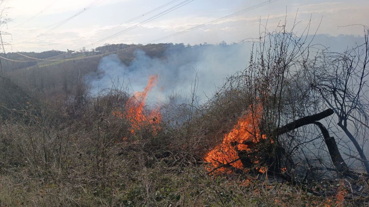 Foto - Havalar ısındı, yangın haberleri gelmeye başladı
