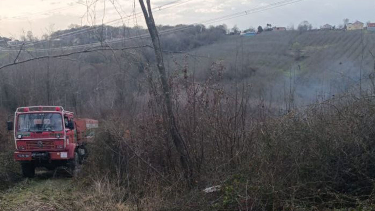 Foto - Havalar ısındı, yangın haberleri gelmeye başladı